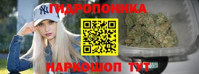 дживик Можга