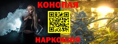 дживик Можга
