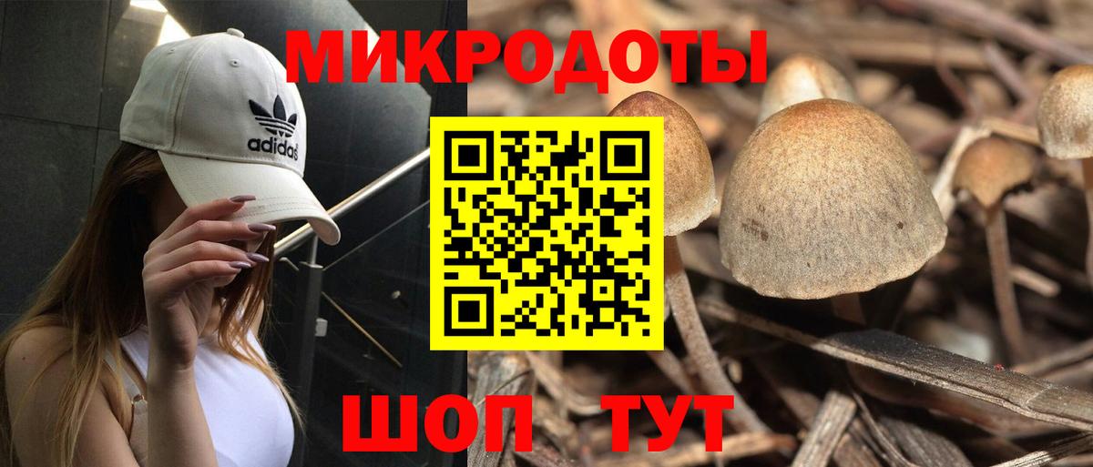 Галлюциногенные грибы Psilocybine cubensis  Псилоцибиновые грибы Magic Shrooms  Сорочинск  Вход с VPN 